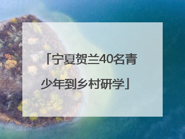 宁夏贺兰40名青少年到乡村研学