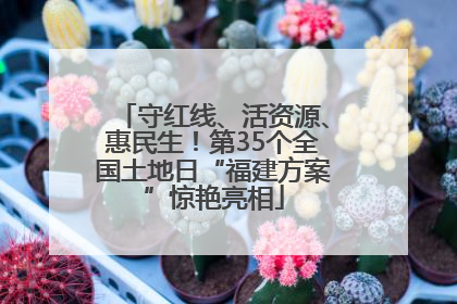 守红线、活资源、惠民生！第35个全国土地日“福建方案”惊艳亮相