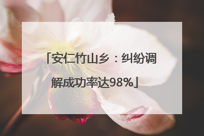 安仁竹山乡：纠纷调解成功率达98%