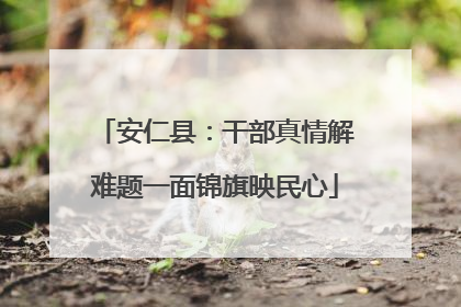 安仁县：干部真情解难题一面锦旗映民心