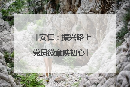 安仁：振兴路上 党员徽章映初心
