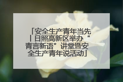 安全生产青年当先丨日照高新区举办“青言新语”讲堂暨安全生产青年说活动