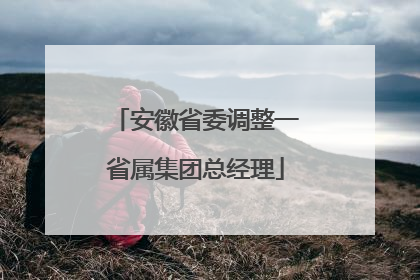 安徽省委调整一省属集团总经理
