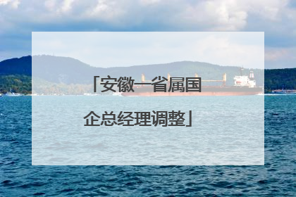 安徽一省属国企总经理调整