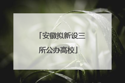 安徽拟新设三所公办高校