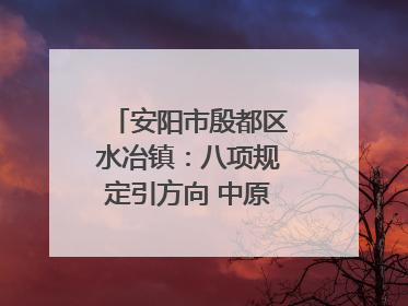 安阳市殷都区水冶镇：八项规定引方向 中原第一镇谱新章