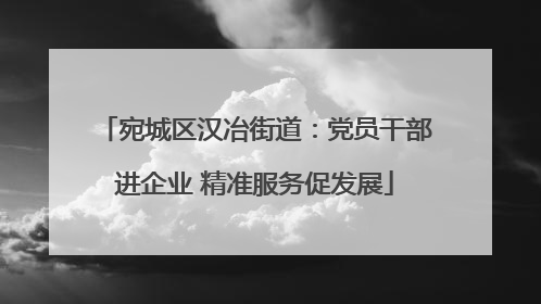 宛城区汉冶街道：党员干部进企业 精准服务促发展