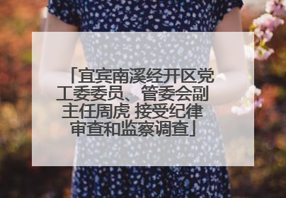 宜宾南溪经开区党工委委员、管委会副主任周虎 接受纪律审查和监察调查