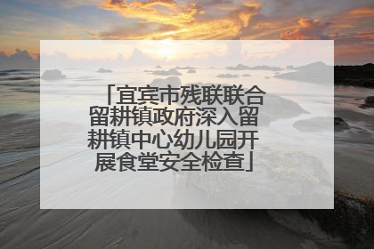 宜宾市残联联合留耕镇政府深入留耕镇中心幼儿园开展食堂安全检查