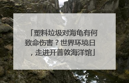 塑料垃圾对海龟有何致命伤害？世界环境日，走进开普敦海洋馆