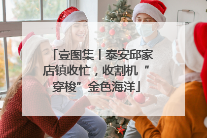 壹图集丨泰安邱家店镇收忙，收割机“穿梭”金色海洋