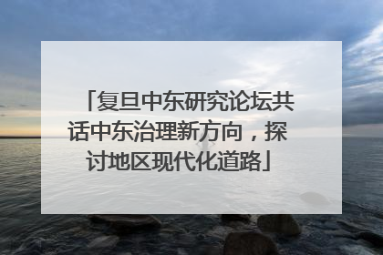 复旦中东研究论坛共话中东治理新方向，探讨地区现代化道路