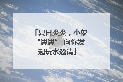 夏日炎炎，小象“崽崽” 向你发起玩水邀请