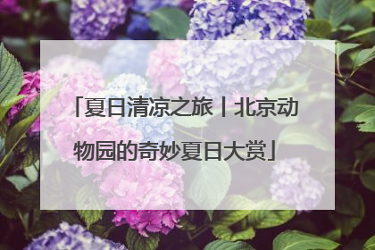 夏日清凉之旅丨北京动物园的奇妙夏日大赏