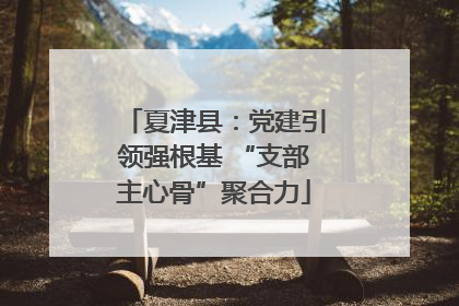 夏津县：党建引领强根基 “支部主心骨”聚合力