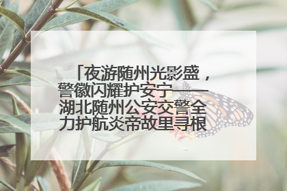 夜游随州光影盛，警徽闪耀护安宁——湖北随州公安交警全力护航炎帝故里寻根节夜游活动侧记