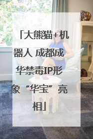 大熊猫+机器人 成都成华禁毒IP形象“华宝”亮相