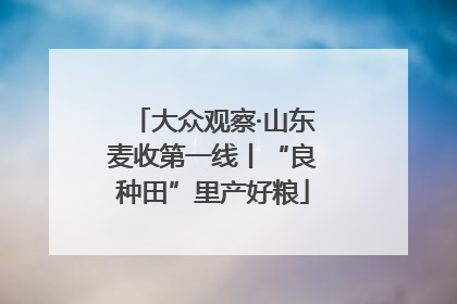 大众观察·山东麦收第一线丨“良种田”里产好粮