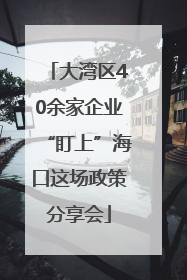 大湾区40余家企业“盯上”海口这场政策分享会
