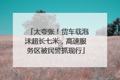 太夸张！货车载泡沫超长七米，高速服务区被民警抓现行