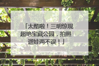 太酷啦！三明惊现超绝宝藏公园，拍照遛娃两不误！