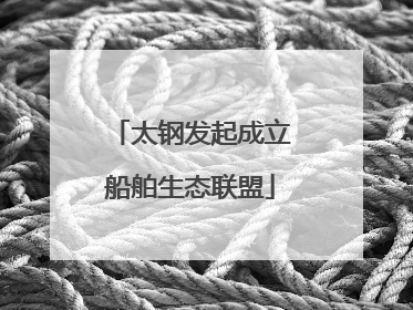 太钢发起成立船舶生态联盟