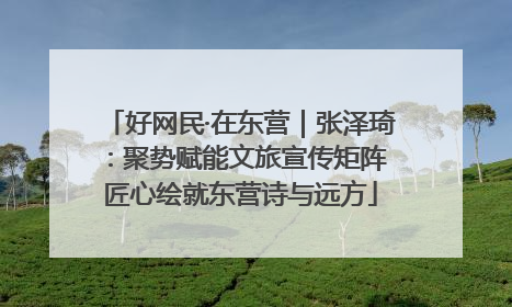 好网民·在东营｜张泽琦：聚势赋能文旅宣传矩阵 匠心绘就东营诗与远方