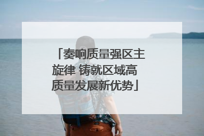 奏响质量强区主旋律 铸就区域高质量发展新优势