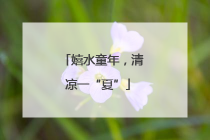 嬉水童年，清凉一“夏”