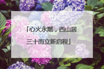 心火永燃，西山居三十而立新启程