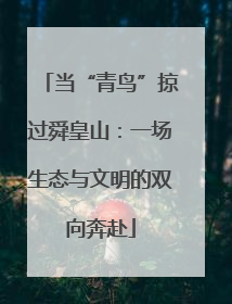 当“青鸟”掠过舜皇山：一场生态与文明的双向奔赴