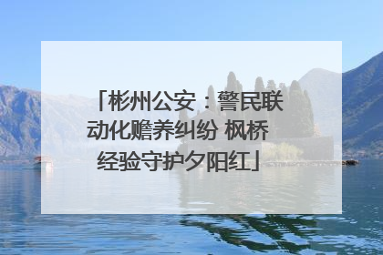 彬州公安：警民联动化赡养纠纷 枫桥经验守护夕阳红