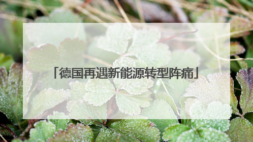 德国再遇新能源转型阵痛