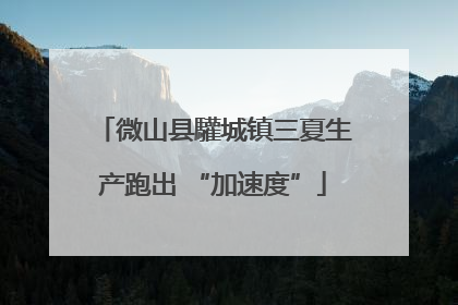 微山县驩城镇三夏生产跑出 “加速度”