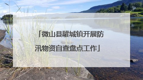 微山县驩城镇开展防汛物资自查盘点工作