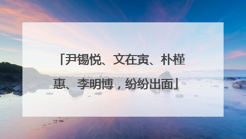 尹锡悦、文在寅、朴槿惠、李明博，纷纷出面
