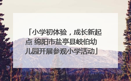 小学初体验，成长新起点 绵阳市盐亭县岐伯幼儿园开展参观小学活动