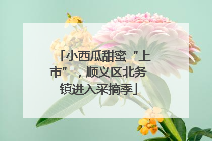 小西瓜甜蜜“上市”，顺义区北务镇进入采摘季