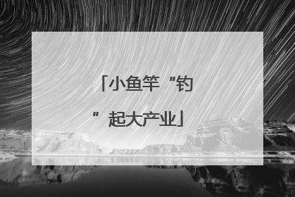 小鱼竿“钓”起大产业