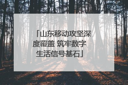 山东移动攻坚深度覆盖 筑牢数字生活信号基石