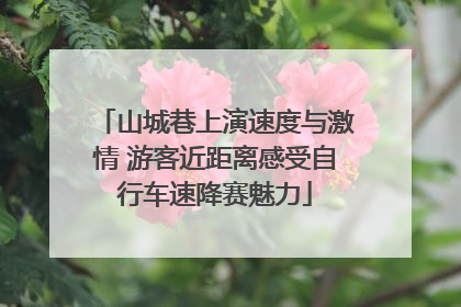 山城巷上演速度与激情 游客近距离感受自行车速降赛魅力