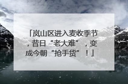 岚山区进入麦收季节，昔日“老大难”，变成今朝“抢手货”！