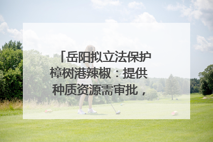 岳阳拟立法保护樟树港辣椒：提供种质资源需审批，违规最高罚5万