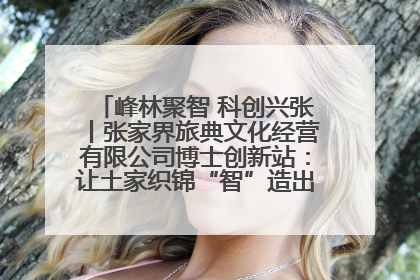 峰林聚智 科创兴张丨张家界旅典文化经营有限公司博士创新站：让土家织锦“智”造出非遗新传奇