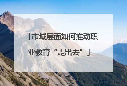 市域层面如何推动职业教育“走出去”