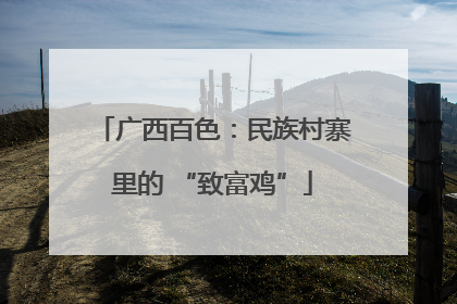 广西百色：民族村寨里的 “致富鸡”