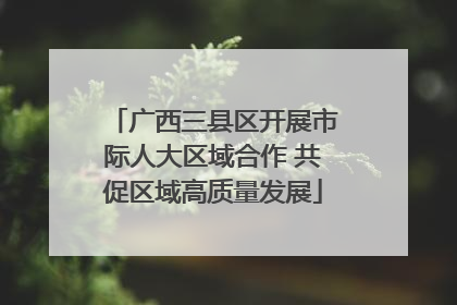 广西三县区开展市际人大区域合作 共促区域高质量发展