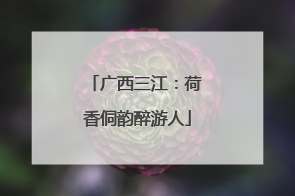 广西三江：荷香侗韵醉游人