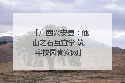 广西兴安县：他山之石互查学 筑牢校园食安网