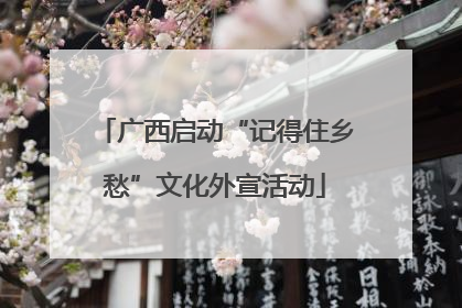 广西启动“记得住乡愁”文化外宣活动